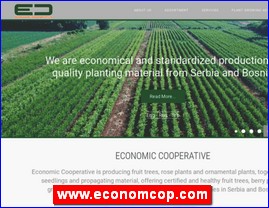 www.economcop.com