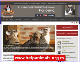 Udruženja za zaštitu životinja, smeštaj životinja, www.helpanimals.org.rs
