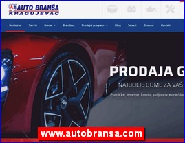www.autobransa.com