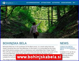 www.bohinjskabela.si