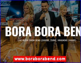 Muzičari, bendovi, folk, pop, rok, www.boraborabend.com