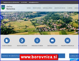 www.borovnica.si