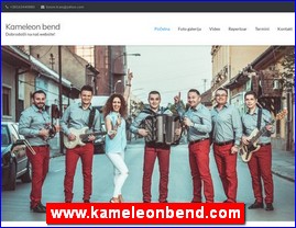 Muzičari, bendovi, folk, pop, rok, www.kameleonbend.com
