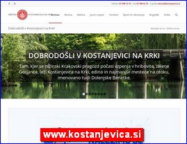 www.kostanjevica.si