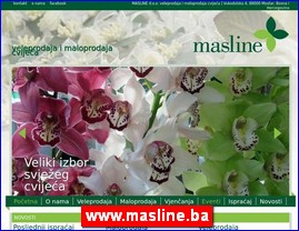 Cveće, cvećare, hortikultura, www.masline.ba