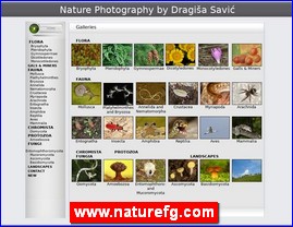 www.naturefg.com