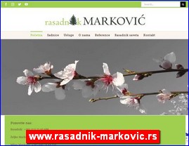 Cveće, cvećare, hortikultura, www.rasadnik-markovic.rs