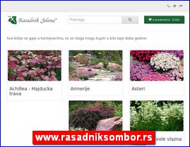 Cveće, cvećare, hortikultura, www.rasadniksombor.rs