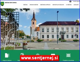 www.sentjernej.si