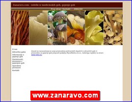 www.zanaravo.com
